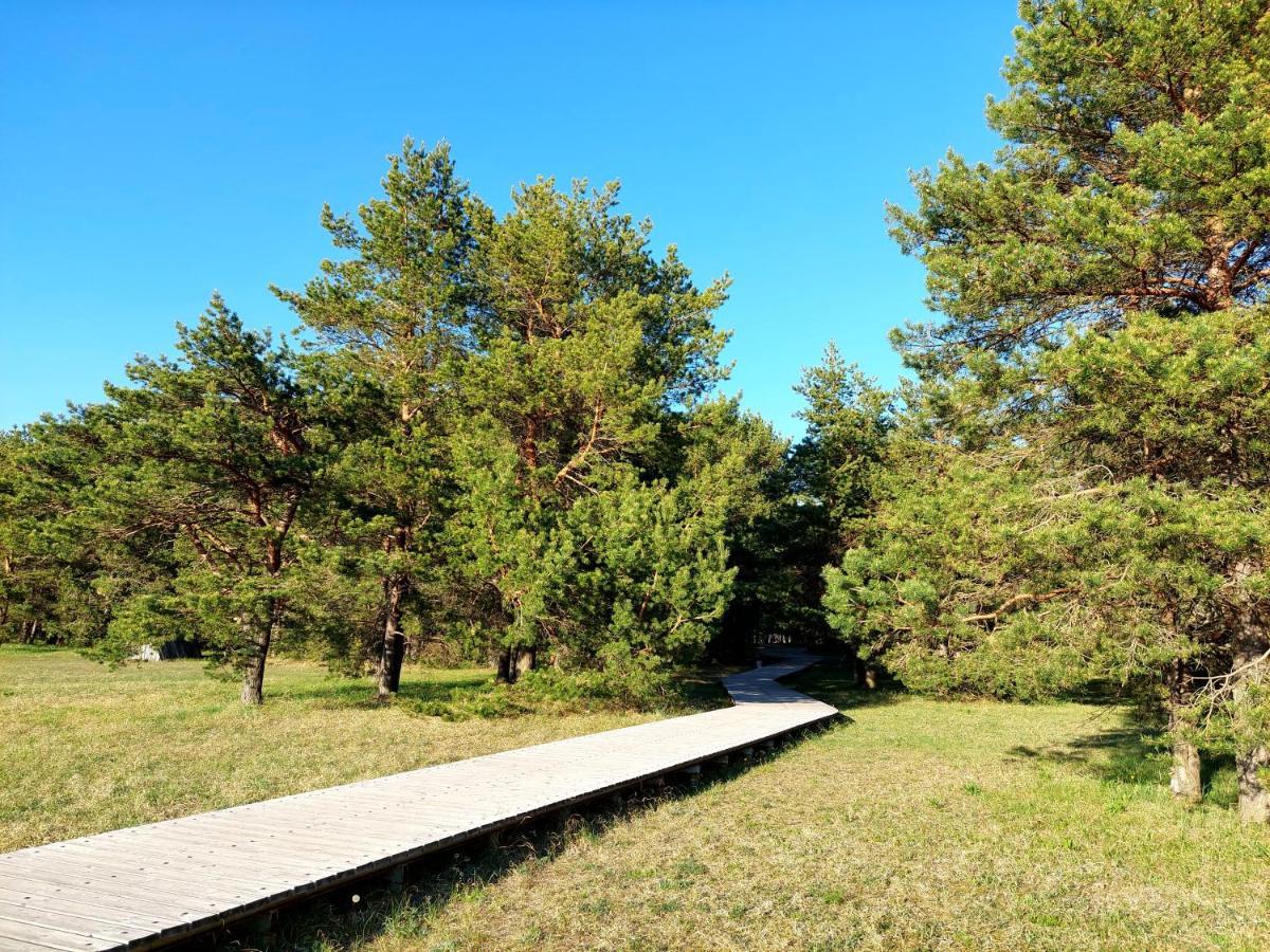 Juras Dzintars Villa Ainaži Eksteriør billede